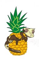 Blue River DIETS Pineapple Crush 60g