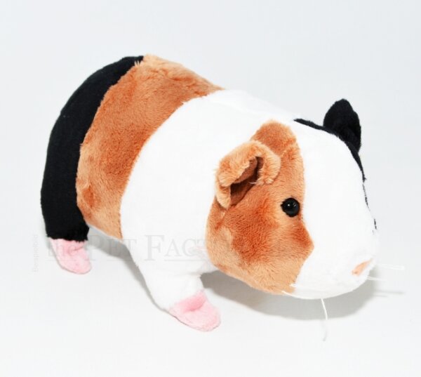 Kuschel Meerschweinchen 13cm