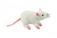 Kuschel Ratte weiss 32cm