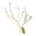 Lucky Reptile Coral Wood (ca. 30-50cm)