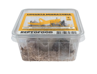 REPTO Food Wanderheuschrecken, Locusta migratoria, (XS)...