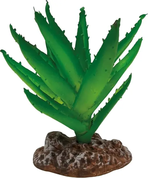REPTO Plant Aloe Vera (13cm)