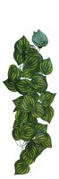 RETPO Plant Green Leaves (230cm)