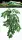 REPTO Plant Green (30cm)