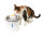 catit Blumentrinkbrunnen Edelstahl