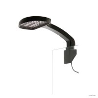 Exo Terra LED Tag + Nacht klein mit Halterung