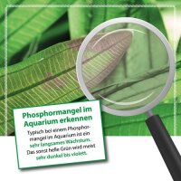 Microbe-Lift Plants NPK, flüssiger Dünger für Pflanzen 118ml