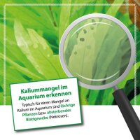Microbe-Lift Plants NPK, flüssiger Dünger für Pflanzen 236ml
