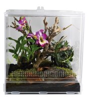 Lucky Reptile LifeTarrium 30x30x30cm
