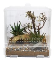 Lucky Reptile LifeTarrium 30x30x30cm
