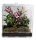 Lucky Reptile LifeTarrium 30x30x30cm