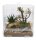 Lucky Reptile LifeTarrium 30x30x30cm