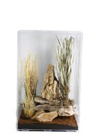 Lucky Reptile LifeTarrium 30x30x45cm