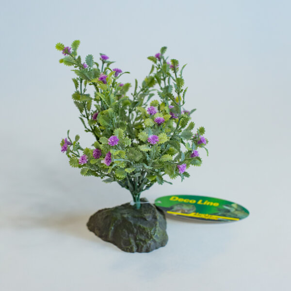 Lucky Reptile Trockenbusch (ca. 15cm)