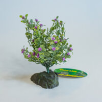 Lucky Reptile Trockenbusch (ca. 15cm)