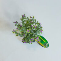 Lucky Reptile Trockenbusch (ca. 15cm)