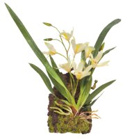 Lucky Reptile Hänge Orchidee weiss (ca.20x30cm)