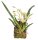 Lucky Reptile Hänge Orchidee weiss (ca.20x30cm)