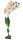 Lucky Reptile Orchidee weiss (ca.40cm)