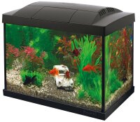 Superfish Start 20 (32x19x26cm) Aquarium Kit, schwarz