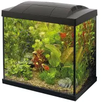 Superfish Start 30 (36x23x38cm) Tropical Kit, schwarz
