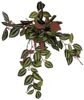 REPTO Plant Hanging Red back 46cm