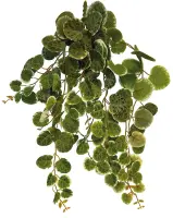 REPTO Plant Hanging Round Leaves 46cm