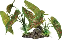 REPTO Plant on Deco, Elephant red