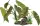 REPTO Plant on Deco, Elephant red