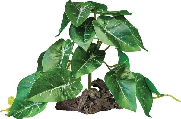REPTO Plant on Deco, Elephant green