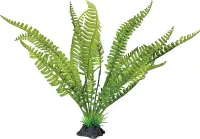 REPTO Plant standing Farn