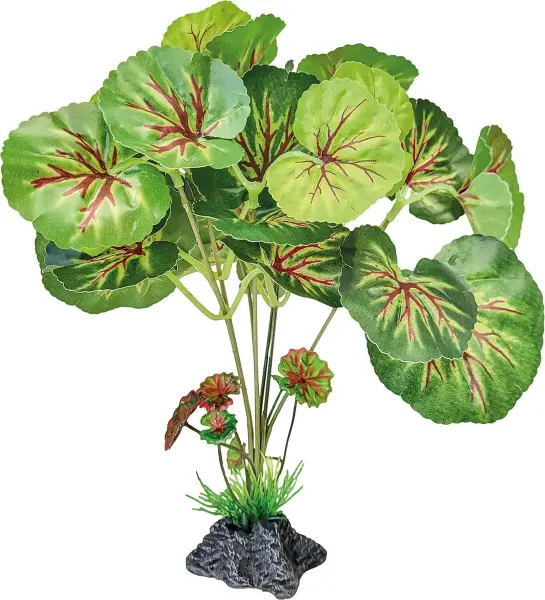 REPTO Plant Standing Round Leaves