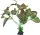 REPTO Plant Standing red/green