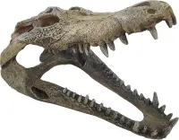 REPTO Deco Crocodile L