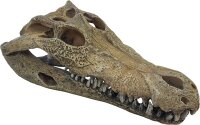 REPTO Deco Crocodile L