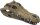 REPTO Deco Crocodile L