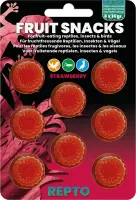 REPTO Fruit Snacks Erdbeere 8x 15g