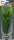 Superfish Easy Plants Seide 30cm Nr. 15