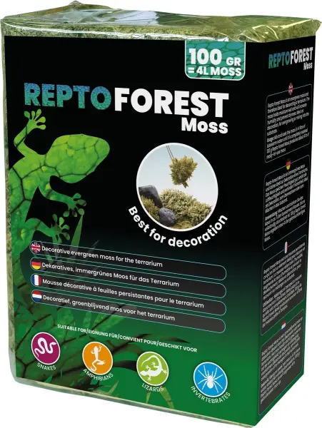 REPTO Forest Moss 100g