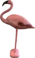 Superfish Deco Vogel, Flamingo