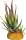 REPTO Plant Aloe Red tip 11cm