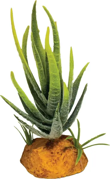 REPTO Plant Aloe green 10,5cm