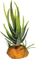 REPTO Plant Aloe green 10,5cm