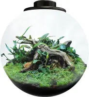 BioArt Bowl 225, schwarz