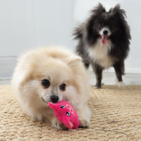 KONG Snuzzles Mini Pig XS