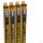 Exo Terra Reptile UVB200 T5 8 Watt, 300mm