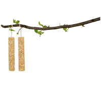 JR Farm Peanut Sticks mit Nüssen 4 Stück (640g)