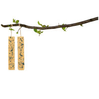 JR Farm Peanut Sticks mit Holunder 4 Stück (640g)