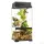 Exo Terra Pro Paludarium X- Small X-Tall (30x30x60cm)