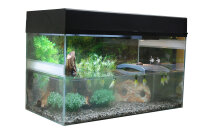 Lucky Reptile Starter Kit 80cm (80x40x52cm)...